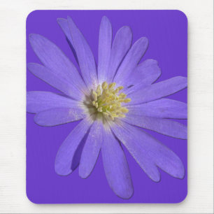 Daisies Mousepad Blue Flowers Computerdekoration
