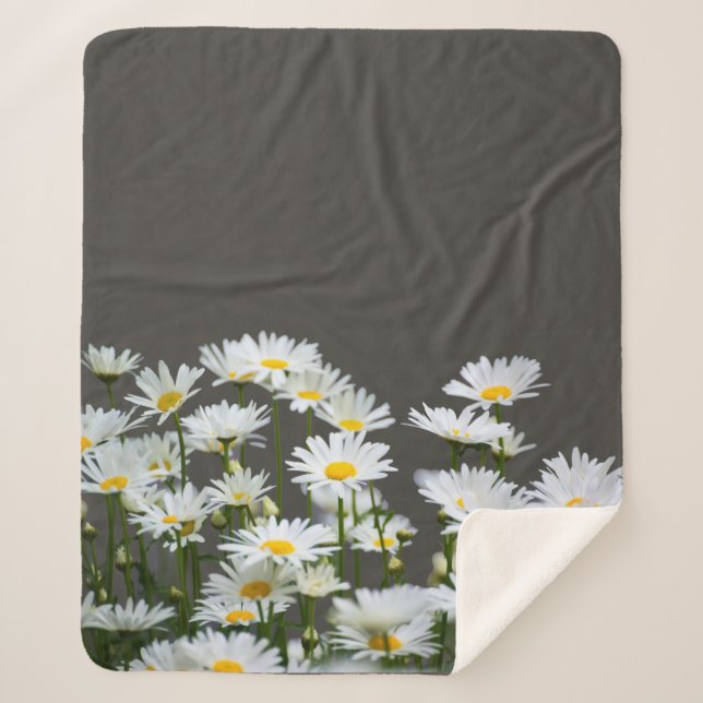 Daisies on Gray  Sherpadecke (Vorderseite)