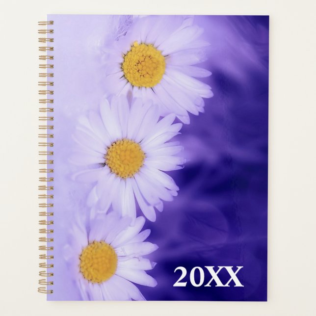 Daisies Planer (Vorderseite)