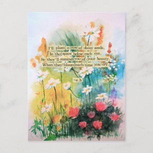 Daisies Postcard Postkarte