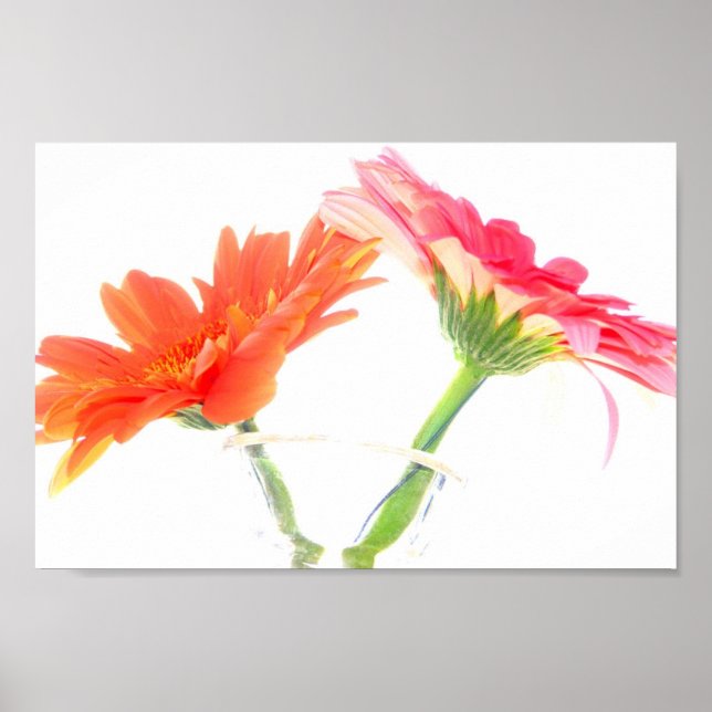 Daisies Poster (Vorne)