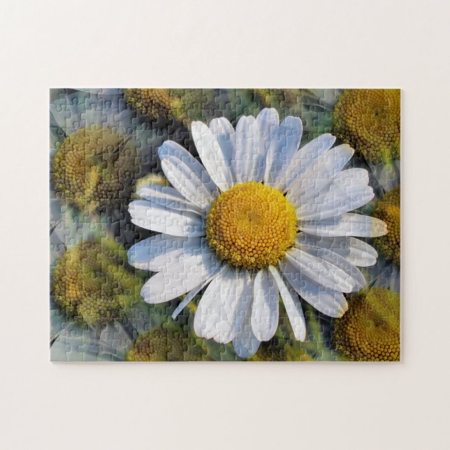 DAISIES PUZZLE (Horizontal)