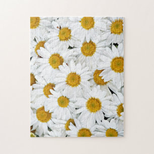 Daisies Puzzle