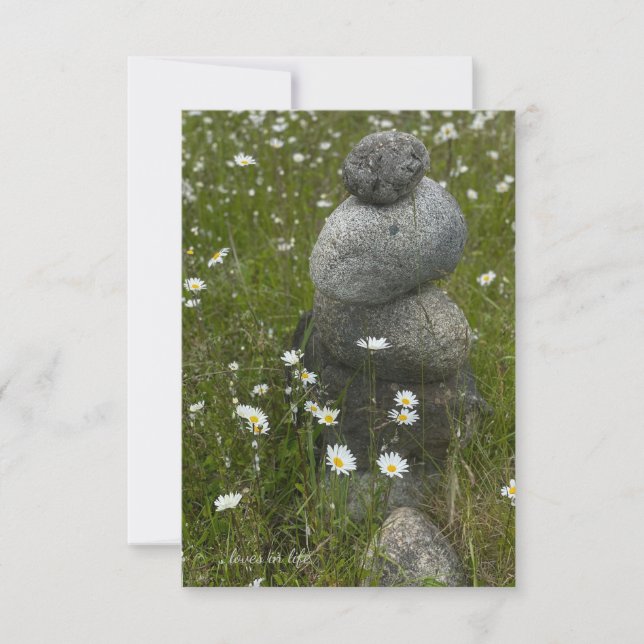 Daisies & Rock Stack Mitteilungskarte (Vorderseite)