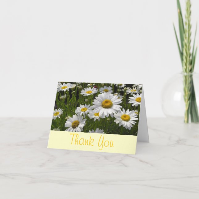 Daisies Thank You Dankeskarte (Vorderseite)