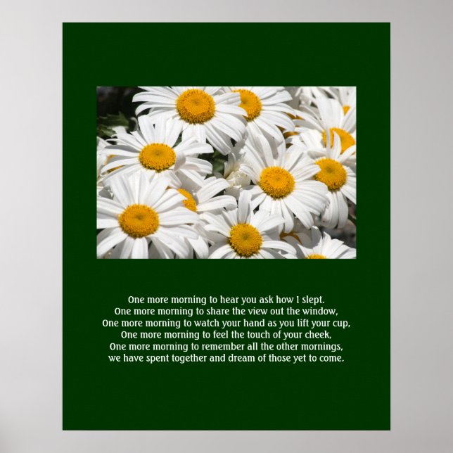 Daisies und ein Poster (Vorne)