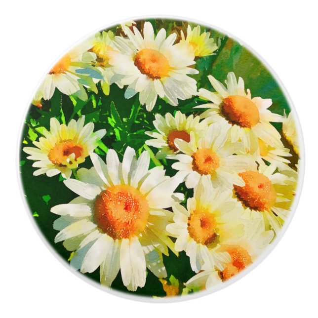 Daisies Watercolor Keramikknauf (Vorderseite)