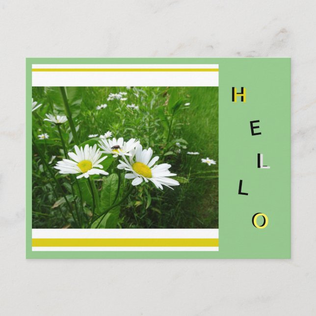 Daisies Wild Blume Collage Cust. Hallo Postkarte (Vorderseite)