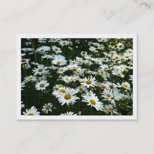 Daisis, Mini-Fotokarte Visitenkarte (Vorderseite)