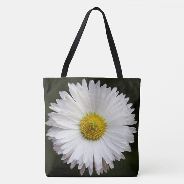 Daisy (Vorderseite)