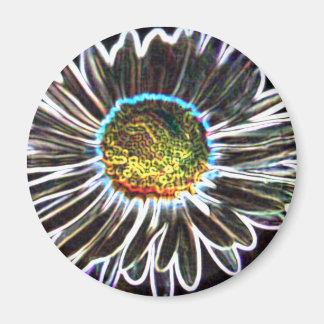 Daisy 1 Glow, Magnet