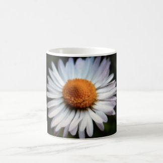 Daisy 1 Tasse