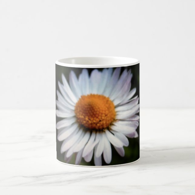 Daisy 1 Tasse (Mittel)