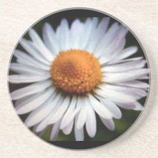 Daisy 1 Untersetzer