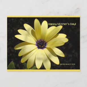Daisy am Muttertag Blue Beach Song™ Postkarte
