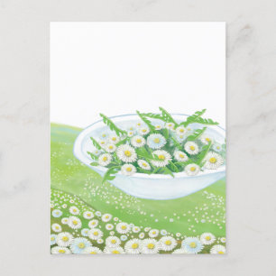 Daisy and Dandelion Spring Salad Illustration Feiertagspostkarte