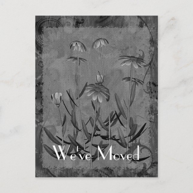 Daisy Art New Address Floral Postcard Ankündigungspostkarte (Vorderseite)