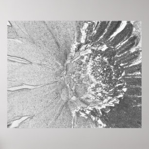 Daisy Art Poster