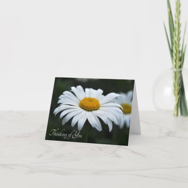 Daisy - Aufsehen (Vorderseite)