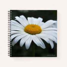 Daisy - Aufsehen Notizbuch