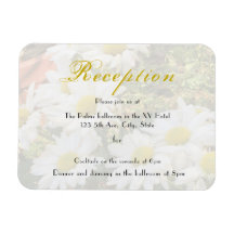 Daisy Background fließend Gelb und Grau Hochzeit