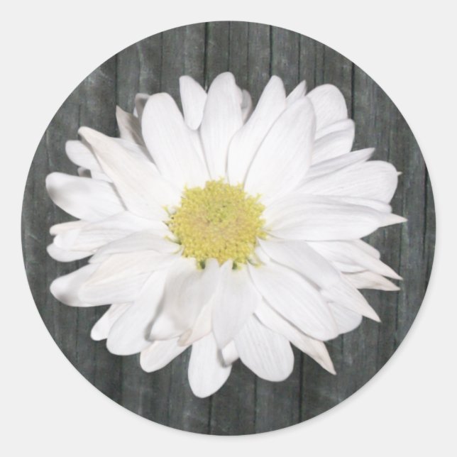 Daisy & Barnwood Sticker (Vorderseite)