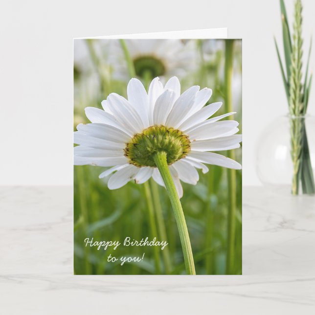 Daisy-Birthday Karte (Vorderseite)