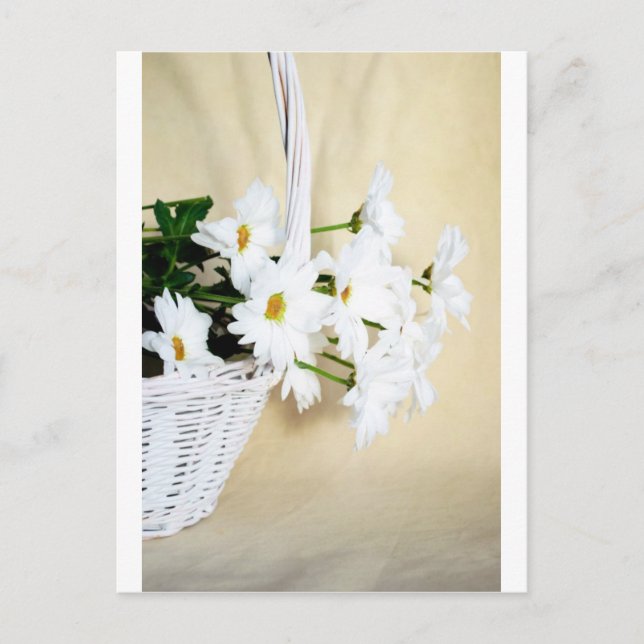 Daisy Blossoms Blume und Wicker Basket Postkarte (Vorderseite)