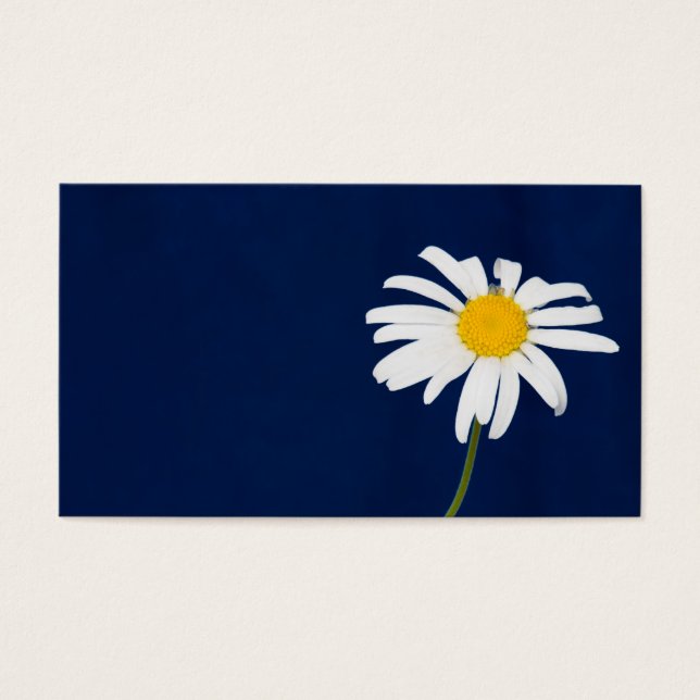 Daisy Blume (Vorderseite)