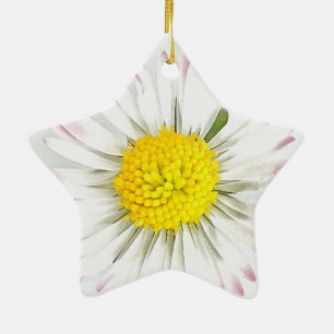 Daisy Blume Dble-Sided Star Ornament