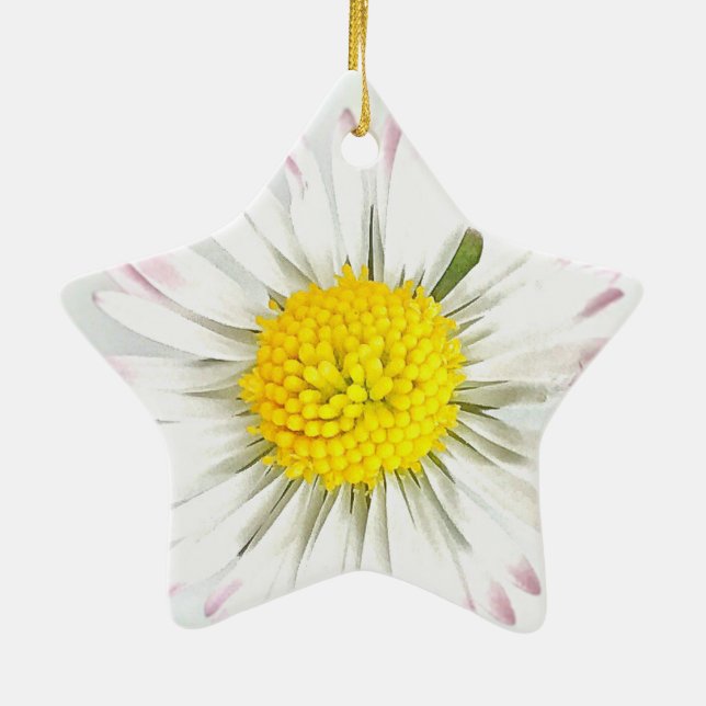 Daisy Blume Dble-Sided Star Ornament (Hinten)