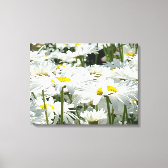 Daisy Blume Dekorative Leinwand Fotografie (Vorderseite)