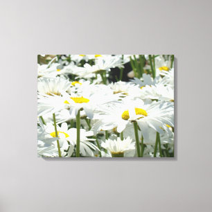 Daisy Blume Dekorative Leinwand Fotografie