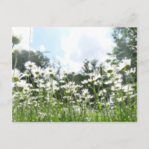 Daisy Blume DIY Postcard Postkarte