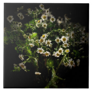 Daisy, Blume Fliese