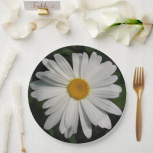 Daisy Blume Fotografie Pappteller