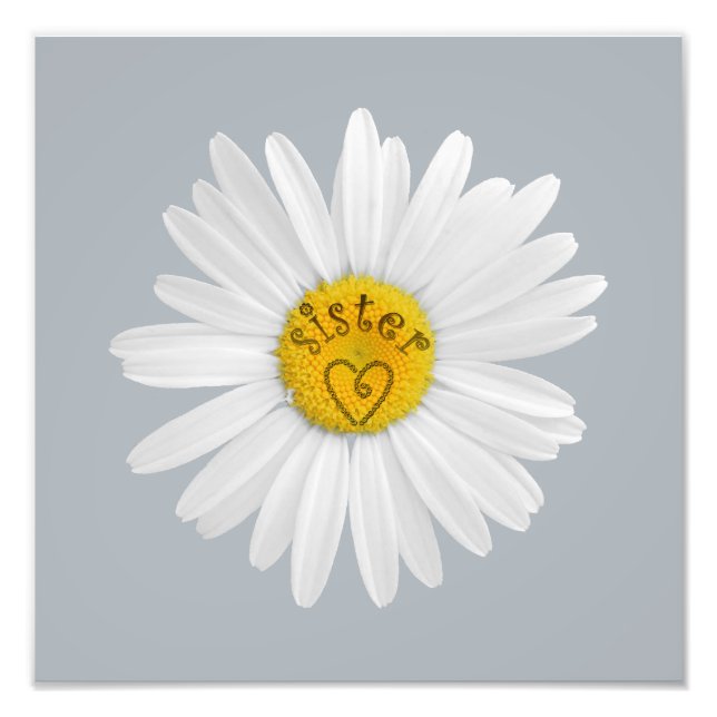 Daisy Blume für Sister Art Customizing Background Fotodruck (Vorne)