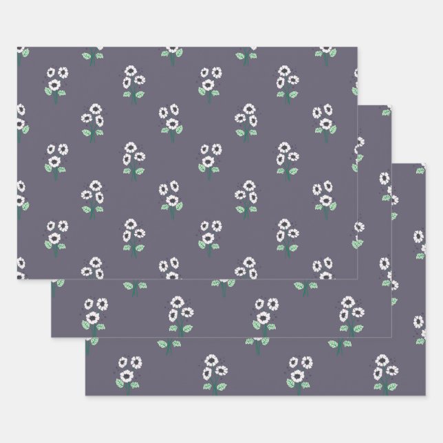 Daisy Blume Geschenkpapier Set (Set)