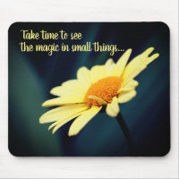 Daisy Blume Inspiration Zitat