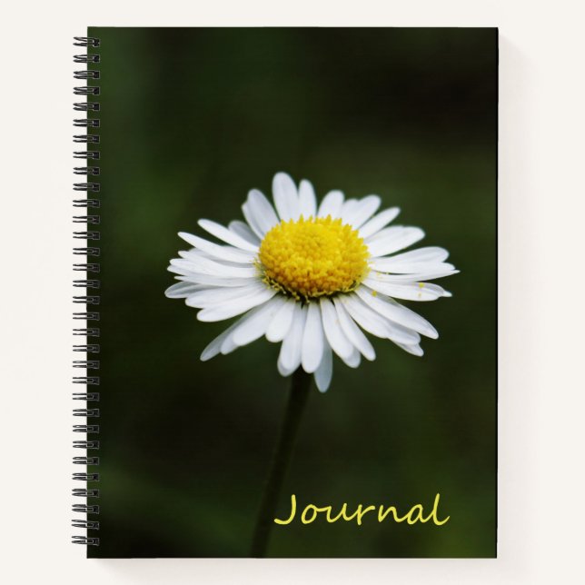 Daisy Blume Large 8.5" x 11" Journal-Notebook Notizbuch (Vorderseite)