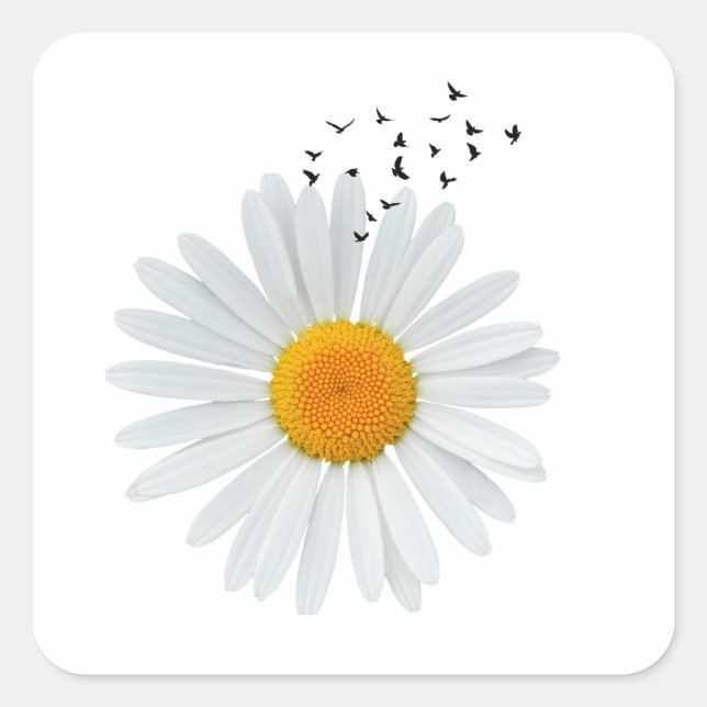 Daisy Blume mit Vogelschloss Quadratischer Aufkleber (Vorderseite)