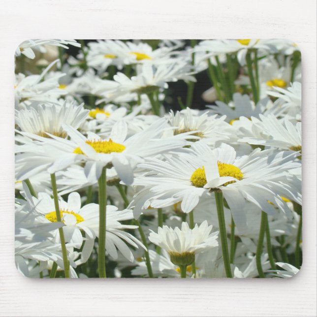 Daisy Blume mousepads Floral White Daisifts Gesche (Vorne)