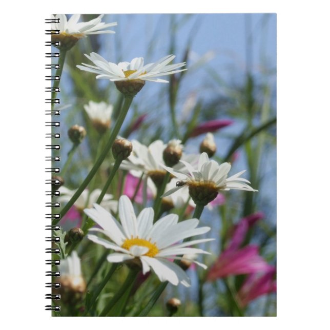 Daisy-Blume-Notebook Notizblock (Vorderseite)