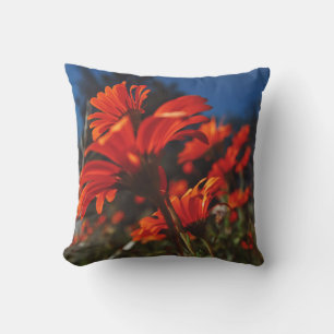 Daisy Blume Orange Blue Cushion Throw Kissen