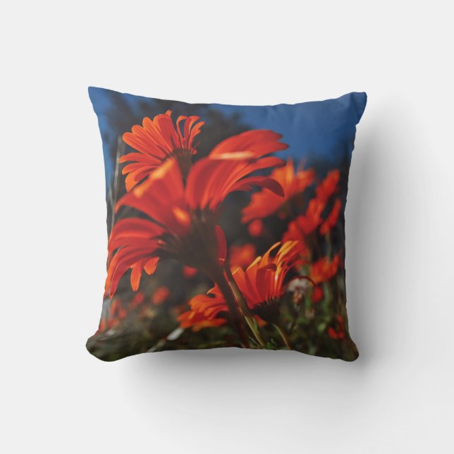 Daisy Blume Orange Blue Cushion Throw Kissen (Vorderseite)