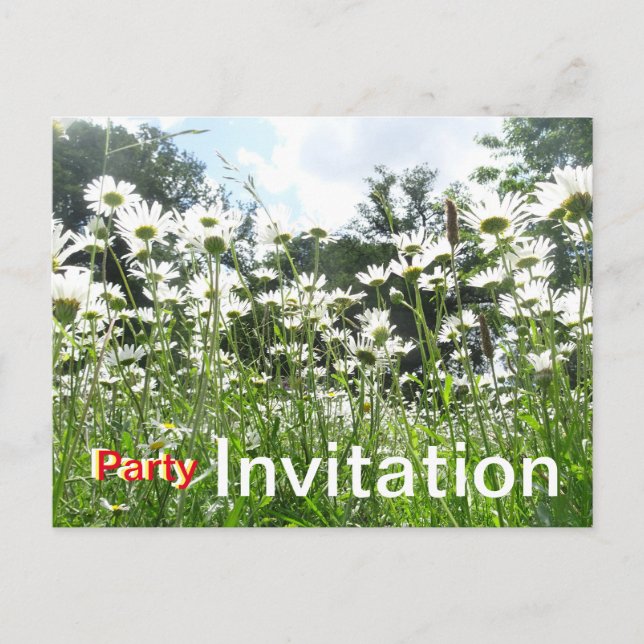 Daisy Blume Party Einladung Postcard Postkarte (Vorderseite)