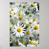 Daisy Blume
