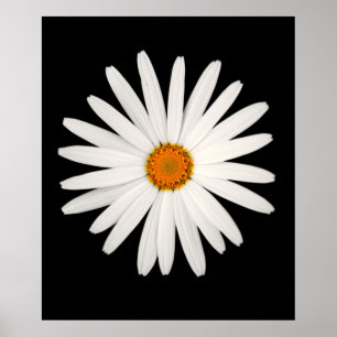 Daisy Blume Poster