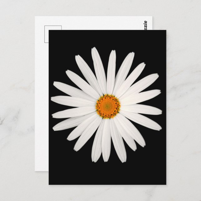 Daisy Blume Postkarte (Vorne/Hinten)