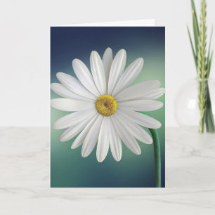 DAISY BLUME SYMPATHY CARD KARTE